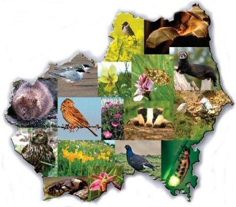Durham Biodiversity Partnership - Action for Wildlife