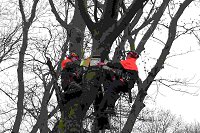 Erecting Bat Boxes - Jarrow - Clare Rawcliffe