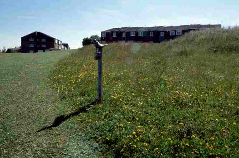Hart Down Hill (South Tyneside Council).