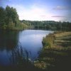 Low Barns Nature Reserve - DWT