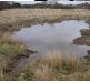 Chester-le-Street Project - DWT