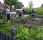 Chester-le-Street Project - DWT